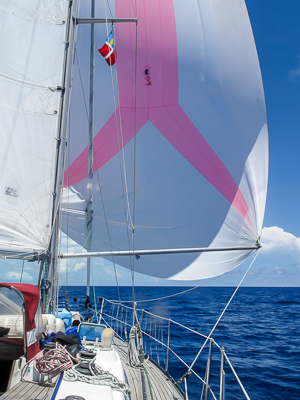 A rare opportunity to get out the spinnaker, on a passage from Little Harbor to Marsh Harbor, the Abacos off shore